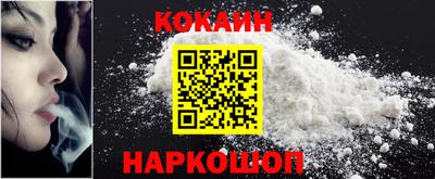 крисы Славгород