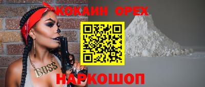 крисы Славгород