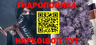 тгк Сланцы