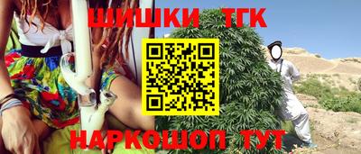 крисы Славгород