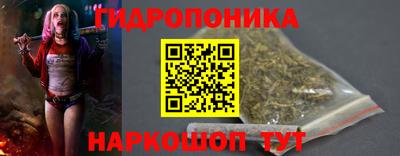 крисы Славгород